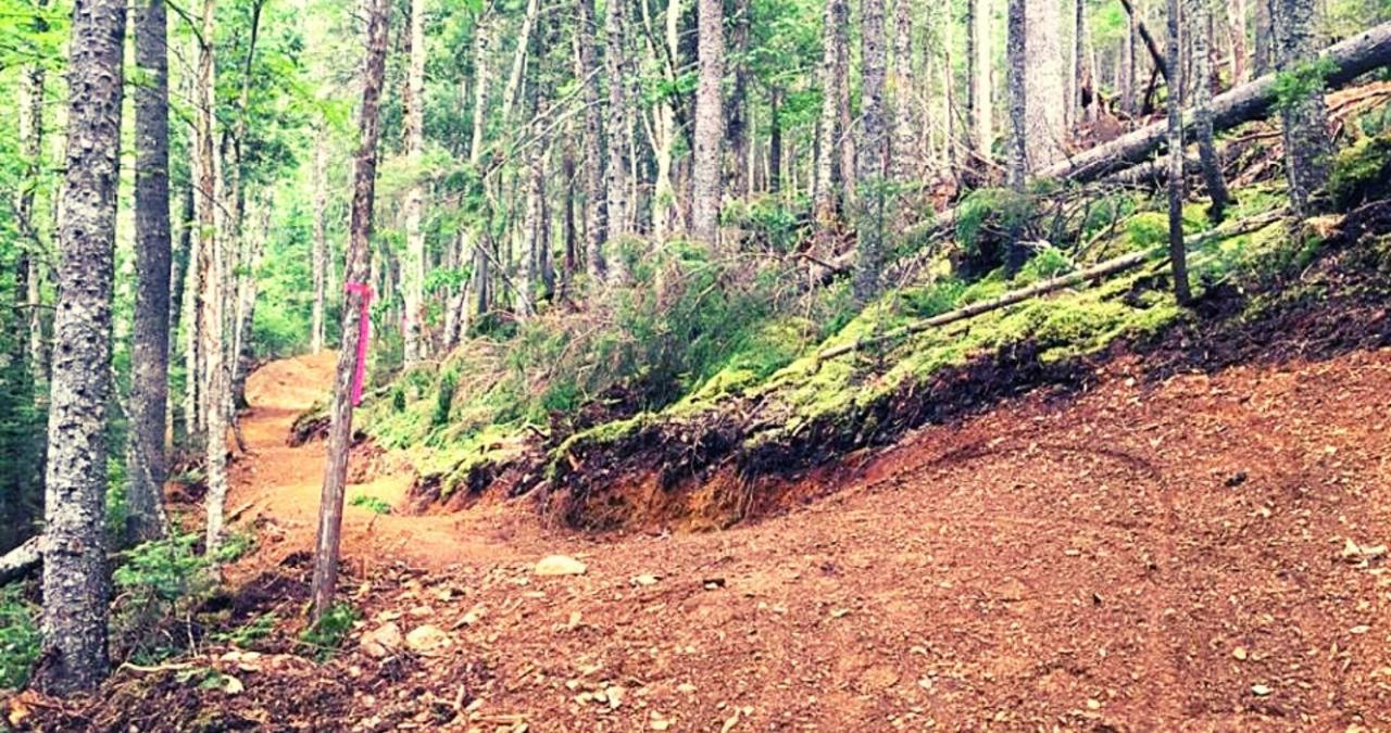 Chalet Station Touristique Pin Rouge